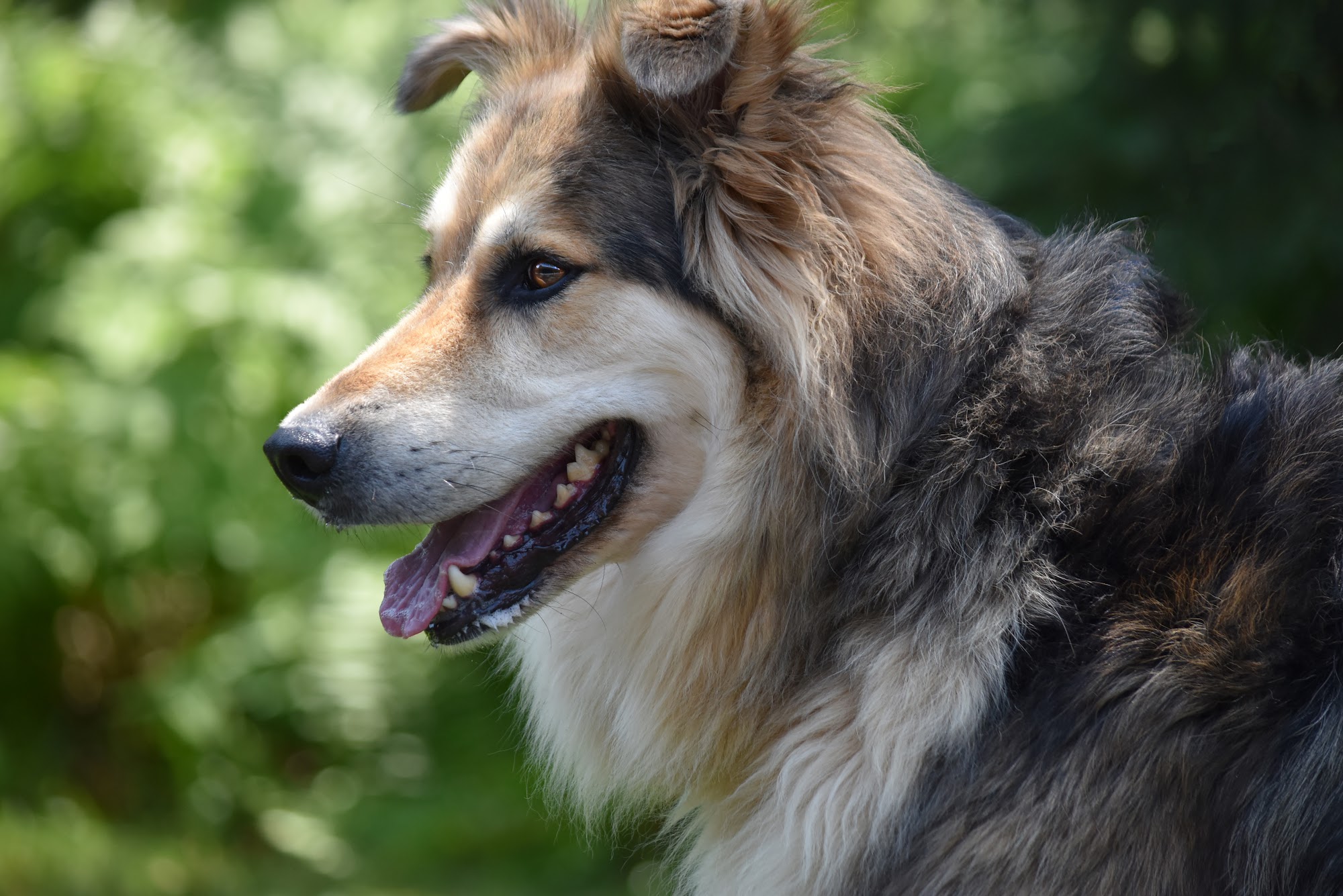 The Simon Foundation Inc Bloomfield