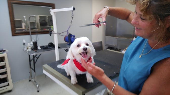 Black Dog Grooming Salon Durham