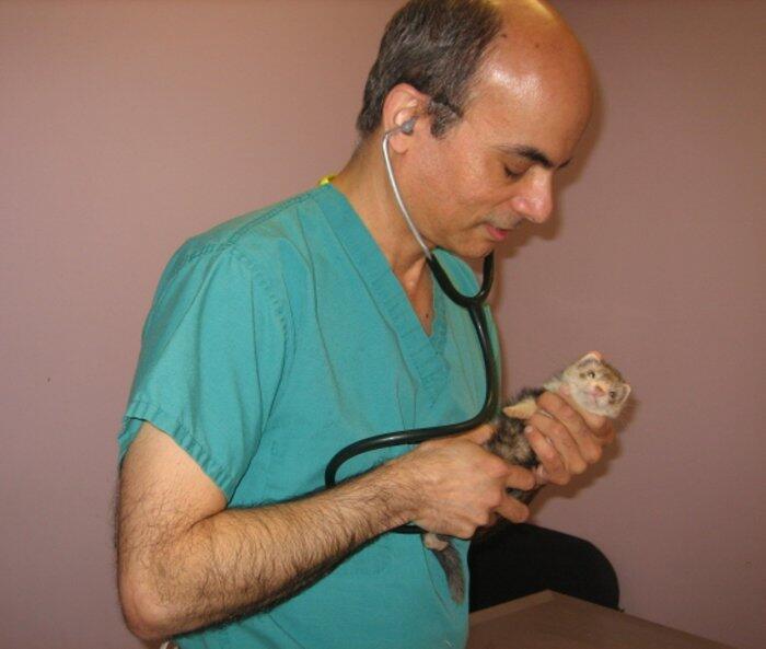 VCA ANIMAL HOSPITAL BY FOXON East Haven