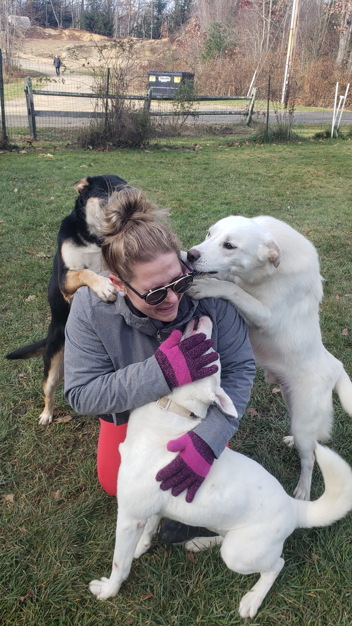 PawSafe Animal Rescue, Inc. Ellington