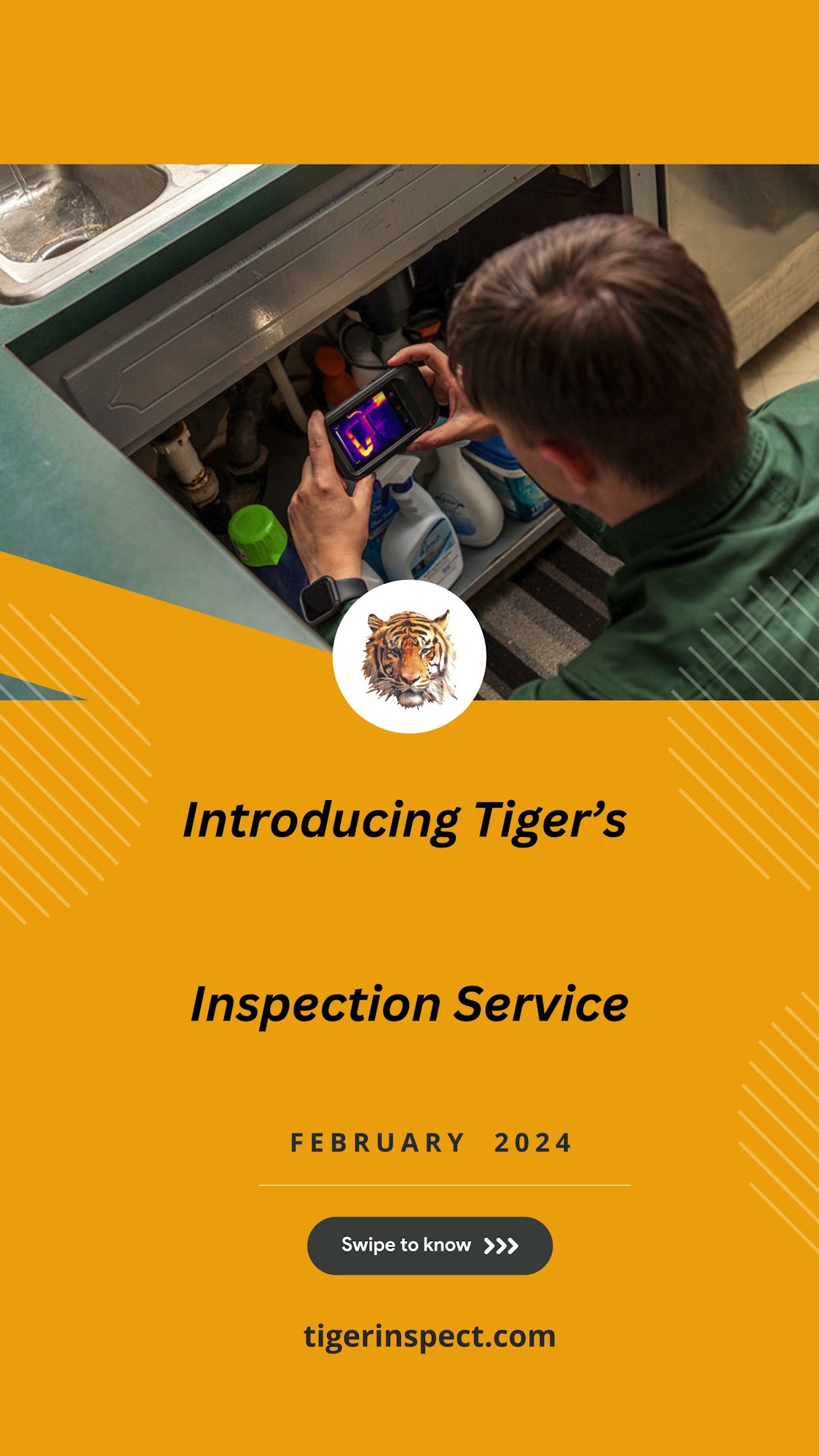 Tiger Home & Building Inspections 190 Westbrook Rd, Essex Connecticut 06426