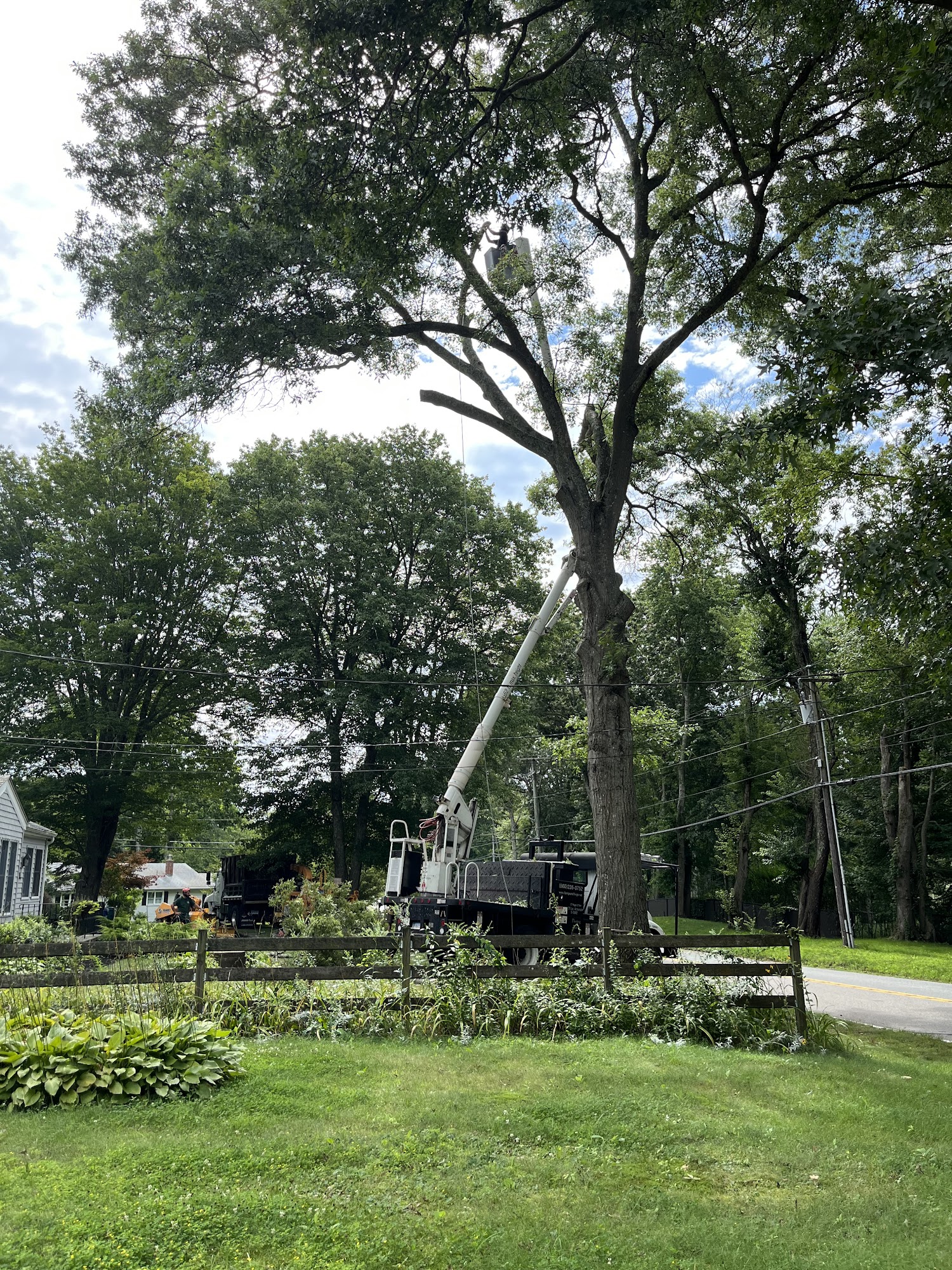 Sprigs & Twigs Landscaping 41 Kings Hwy, Gales Ferry Connecticut 06335