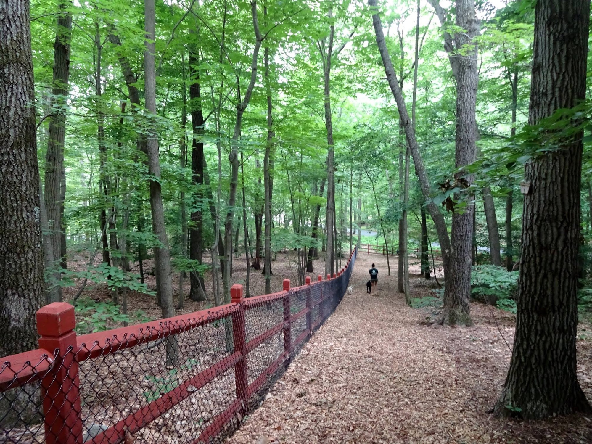 Candlewick Kennels Glastonbury
