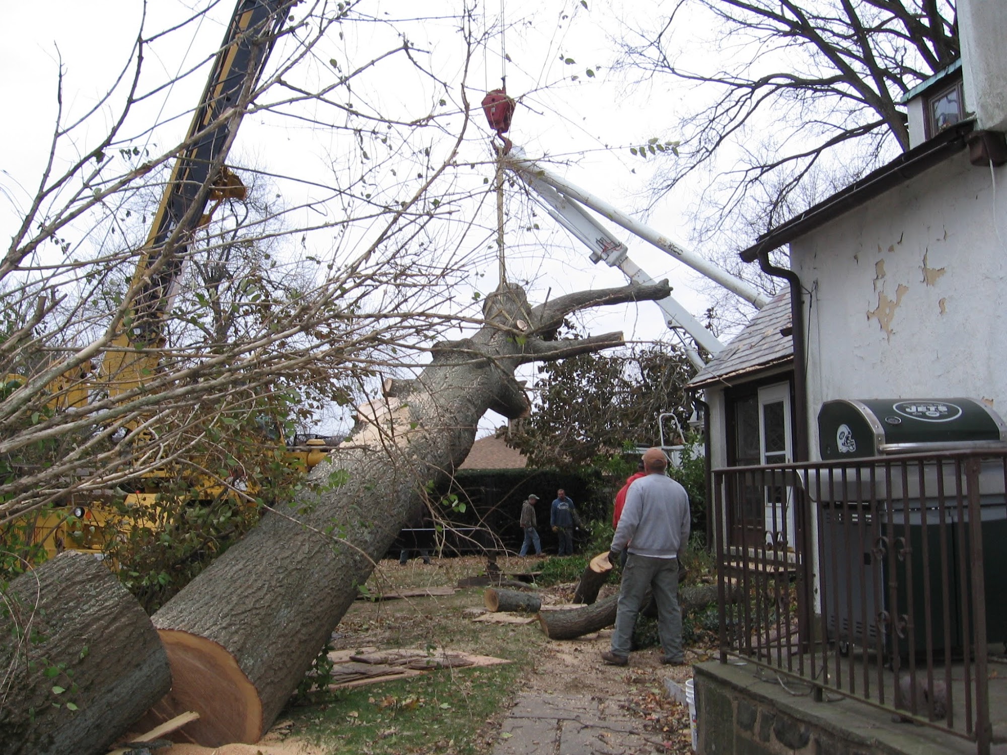 Mount Carmel Tree Service