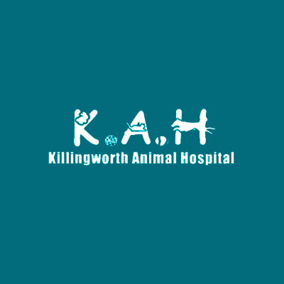 Killingworth Animal Hospital 208 CT-81, Killingworth Connecticut 06419