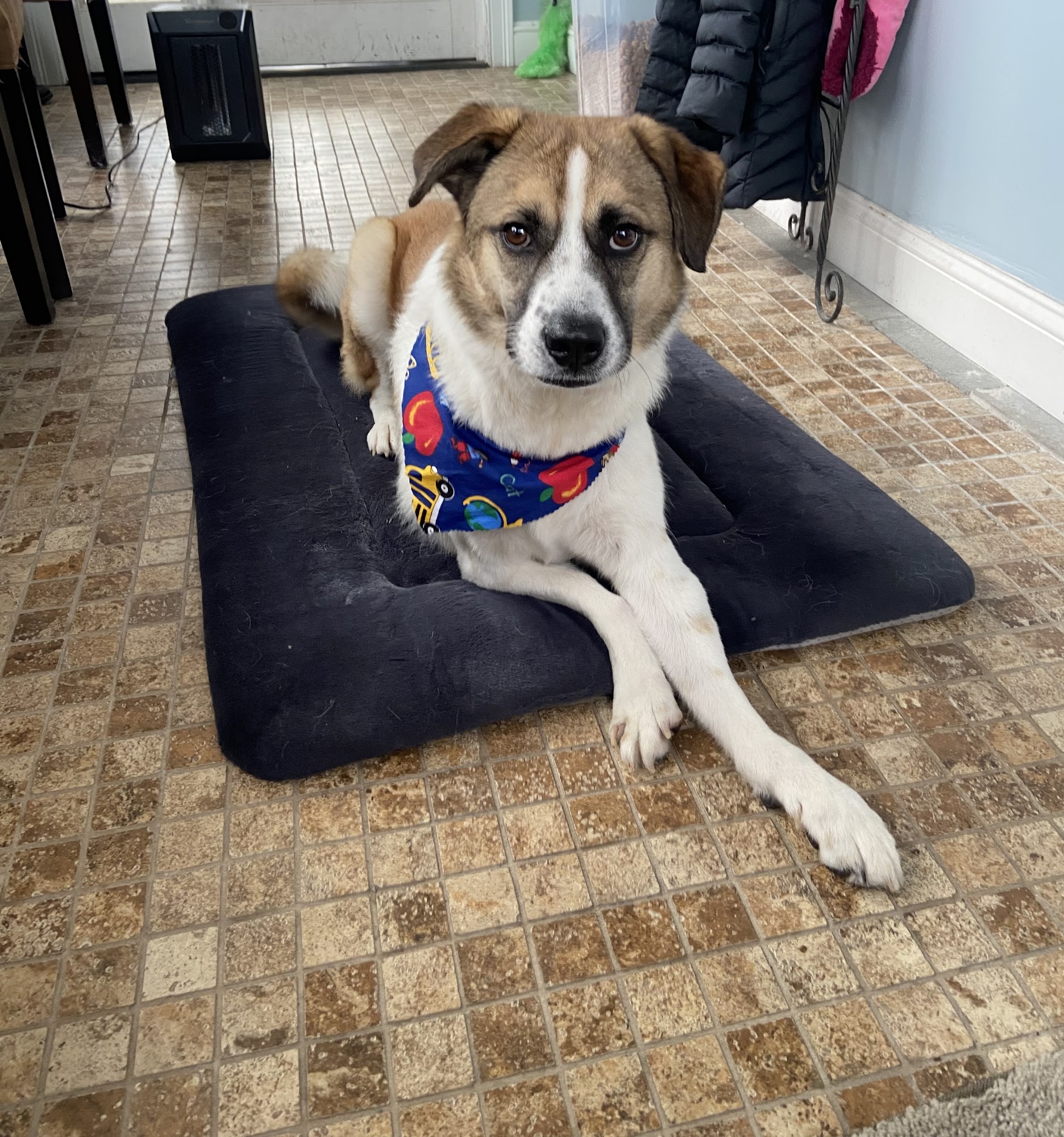 Grimm's Furry Tails Ledyard