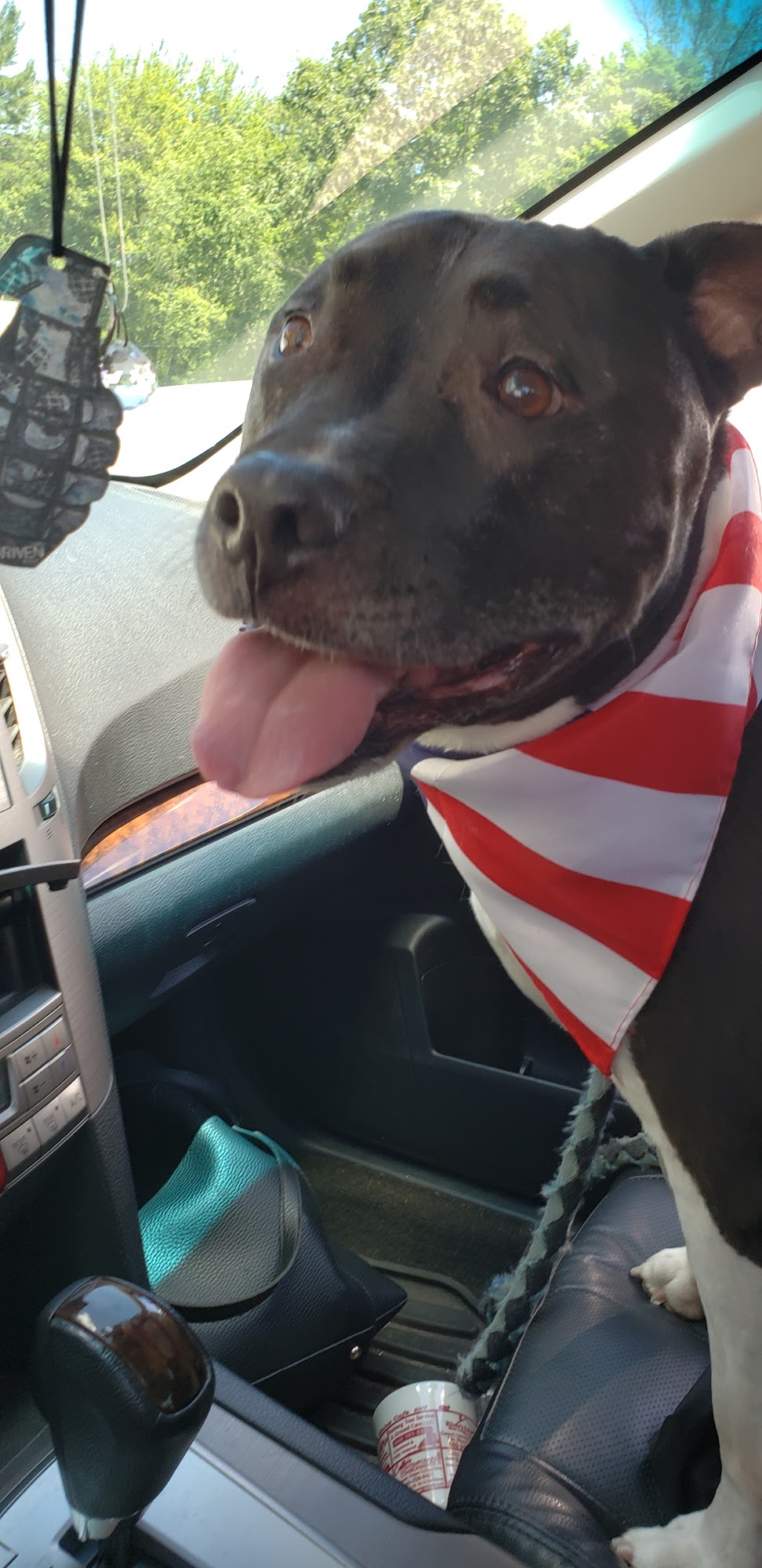 Groomin N Roomin Kennels LLC Middlefield