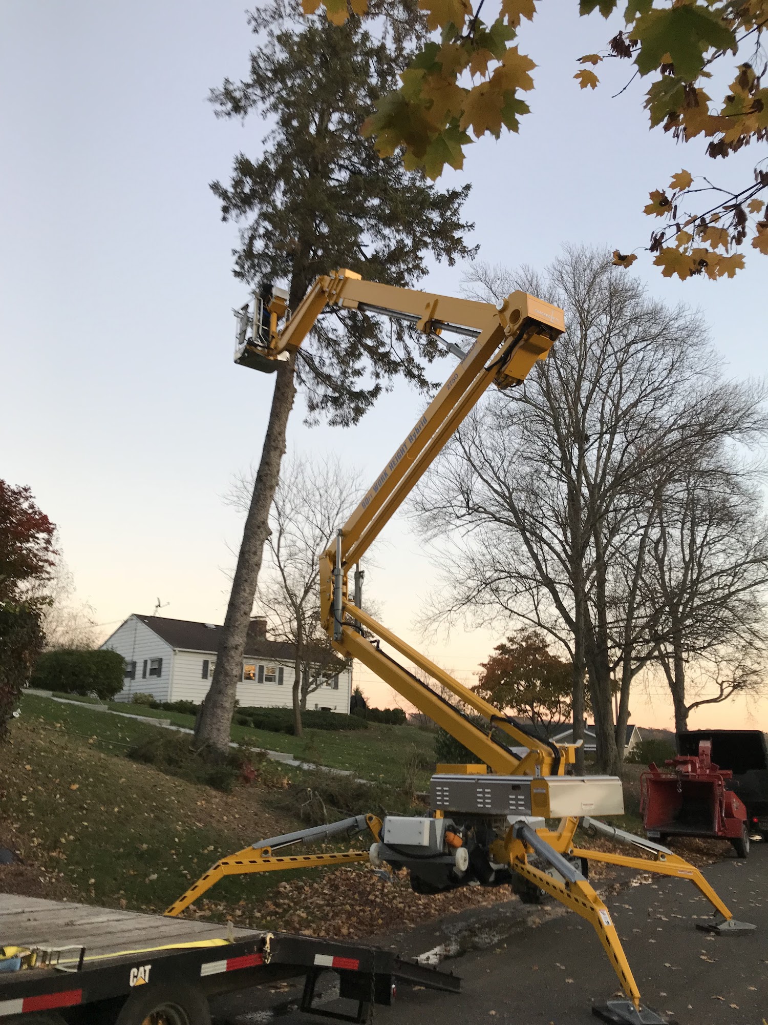 Tree Monsters Land Clearing