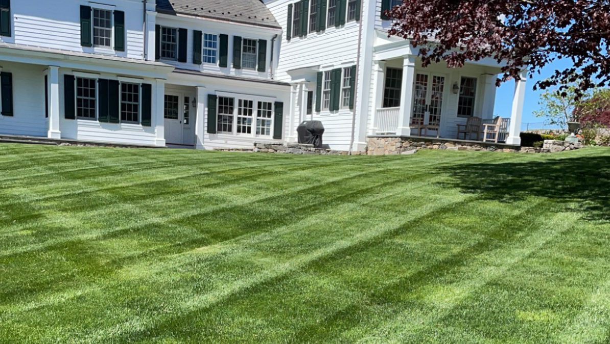 True Lawn Care,LLC