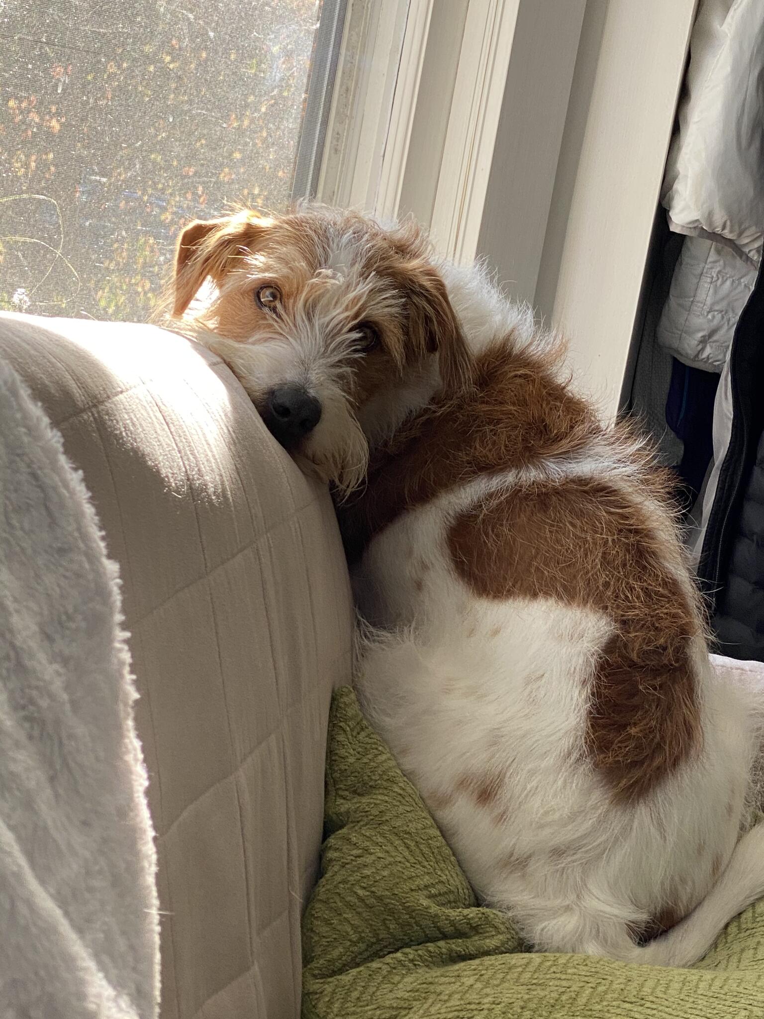 Photo credit: nextdoor