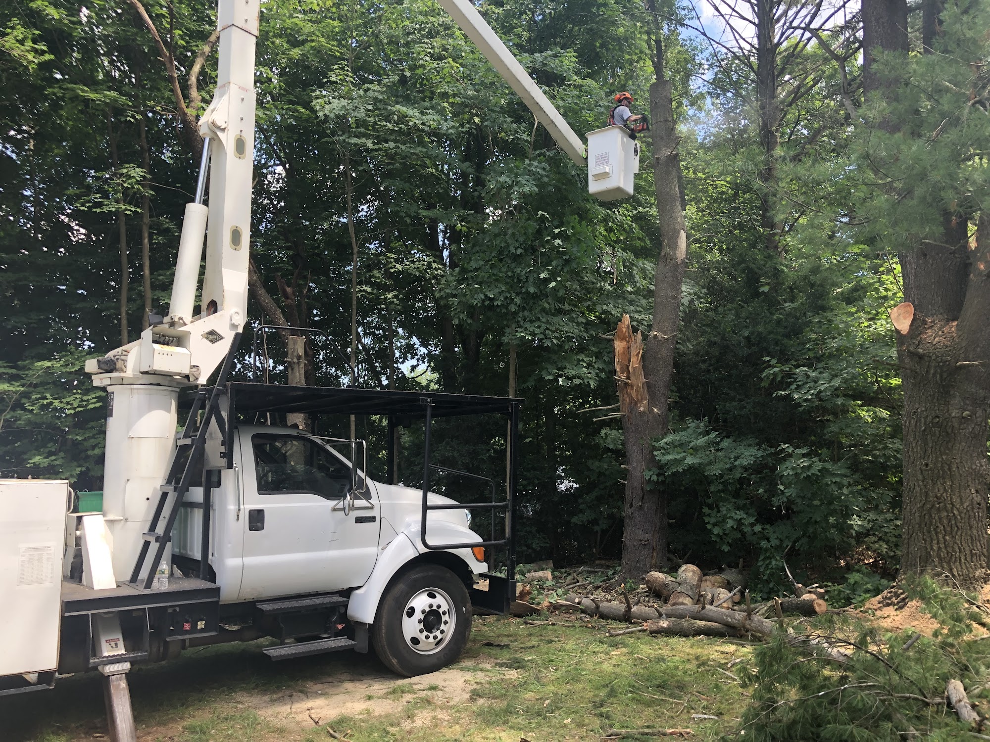 Cutterz Tree Removal Services LLC