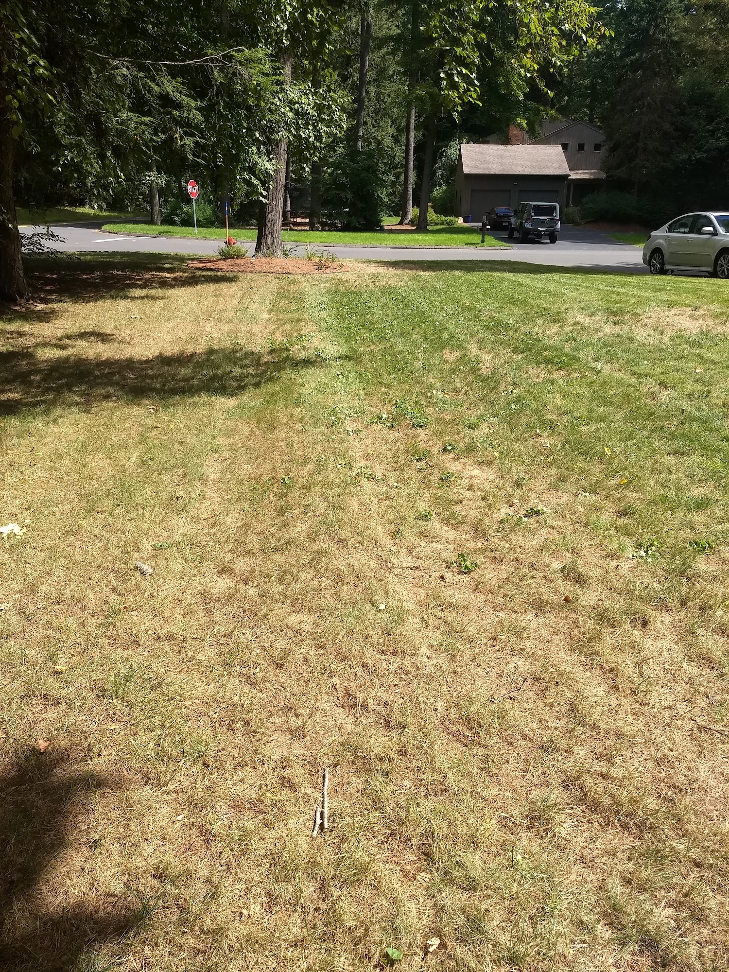 Green Carpet Lawn Care LLC 216 Field Rd, Somers Connecticut 06071
