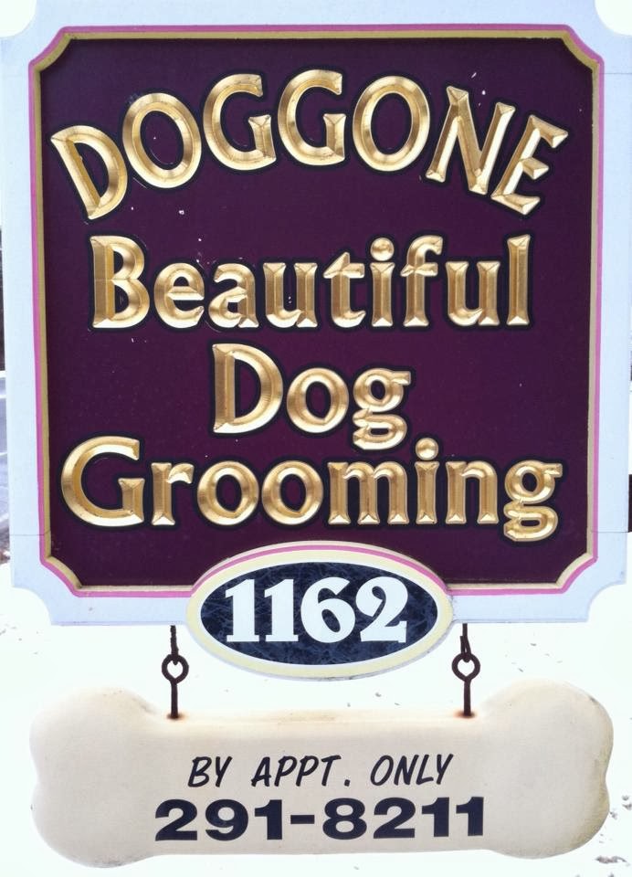 Doggone Beautiful Dog Grooming South Windsor