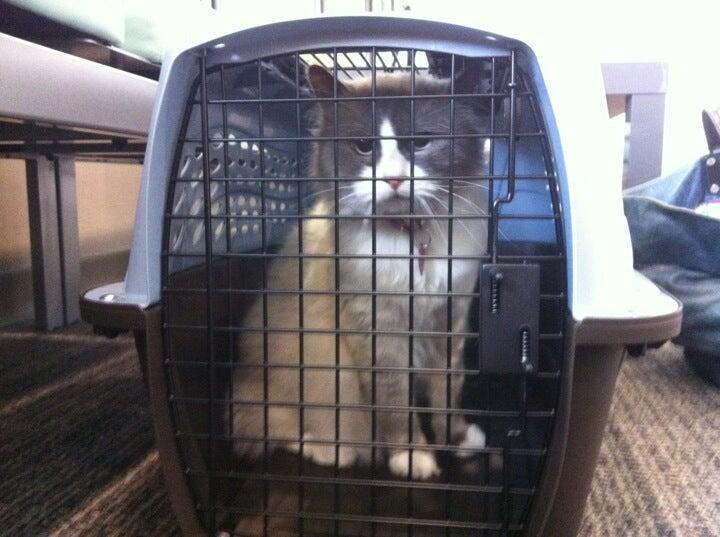 Photo credit: nextdoor