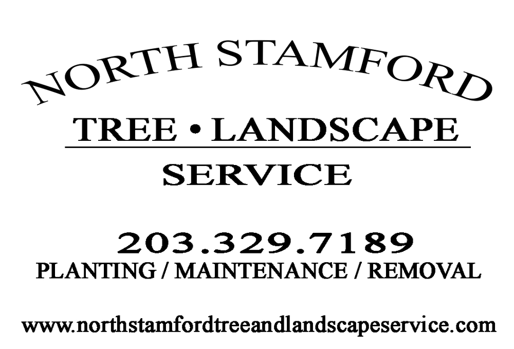 North Stamford Tree Services