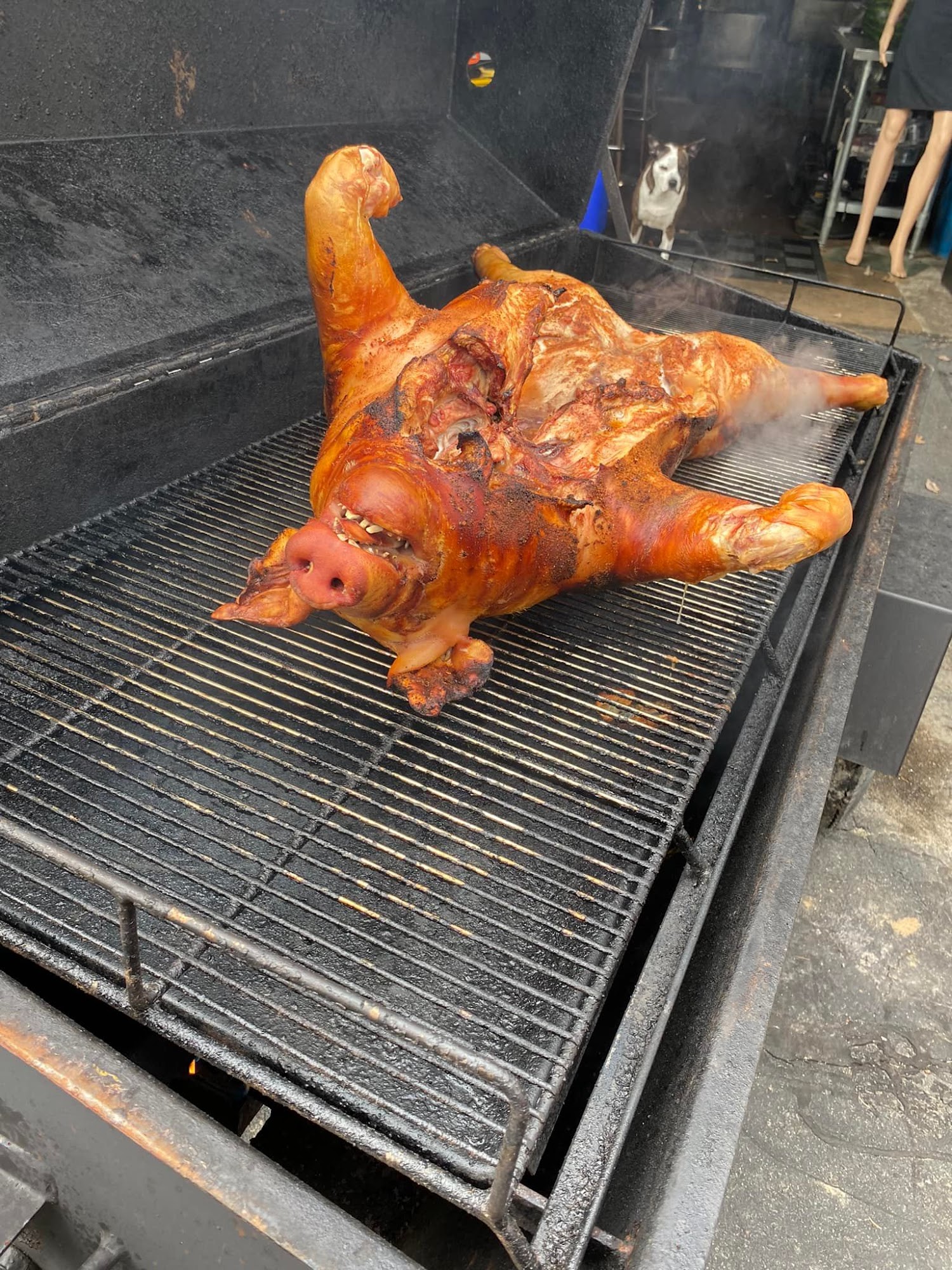 M A Catering & Pig Roasts- Roasting Pigs in CT