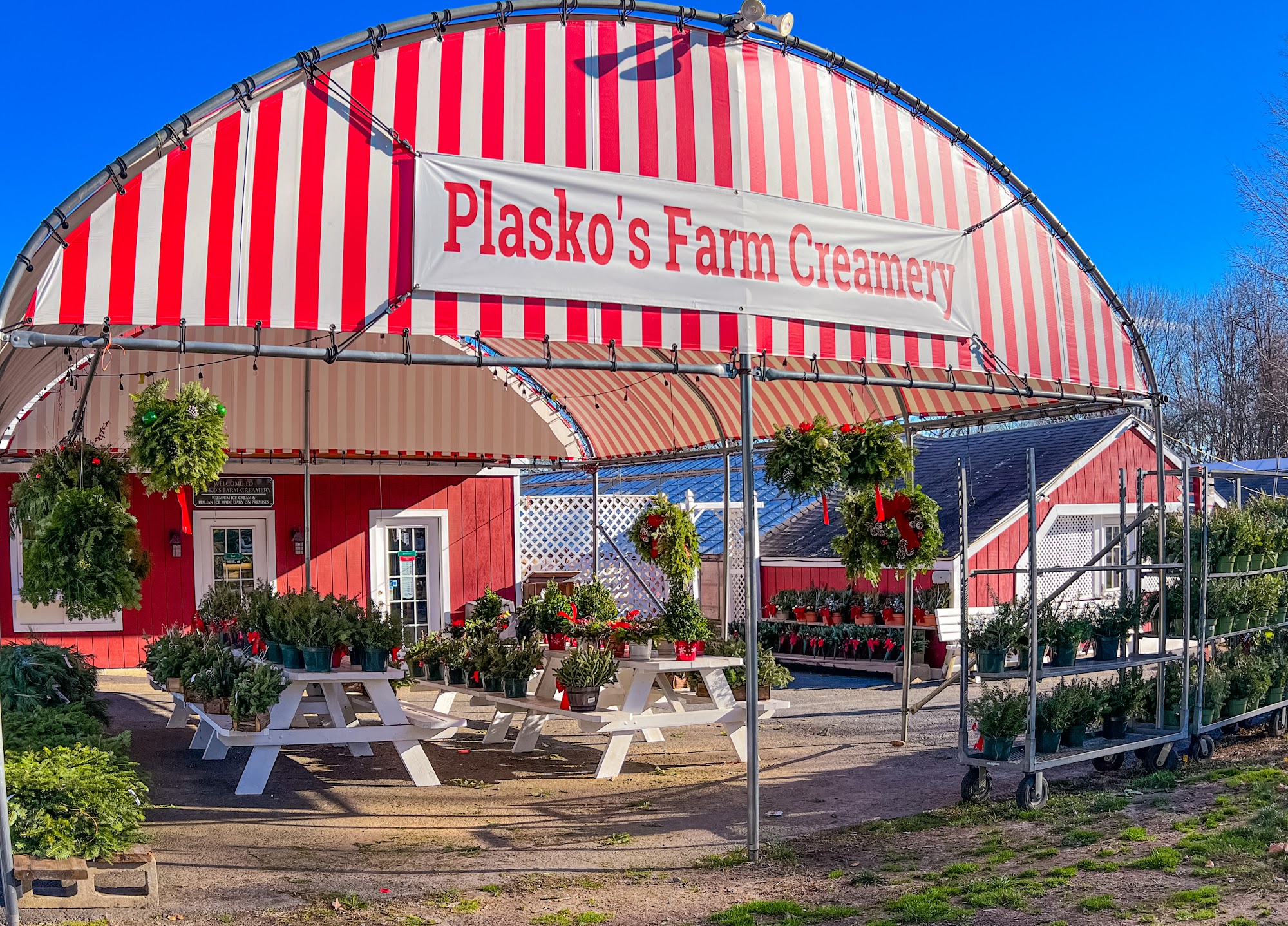 Plasko's Farm Creamery & Cafe