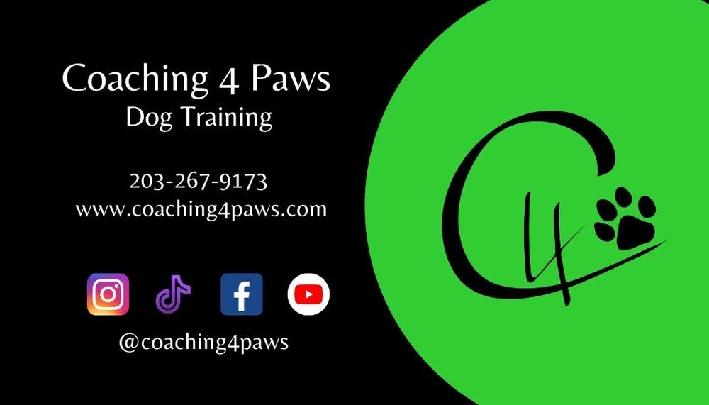 Coaching 4 paws Watertown