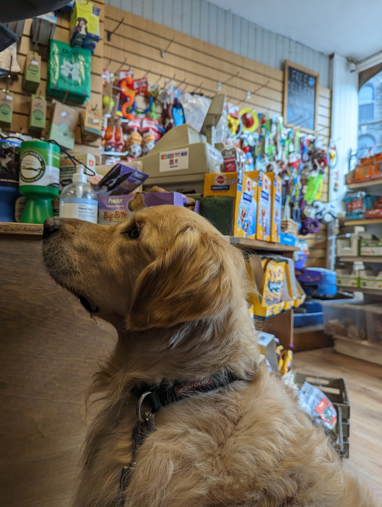 Lakeland Pet Supplies