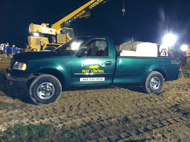 Collison Pest Control