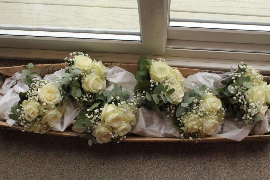 blooms of bideford