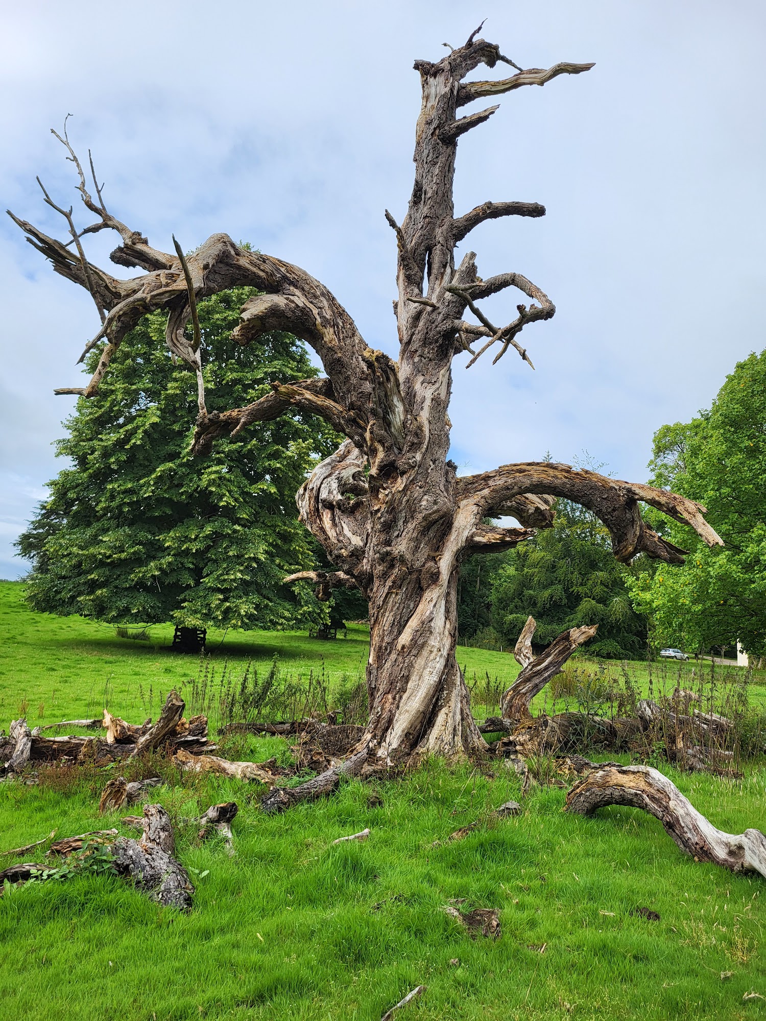 Webbery Manor Estate