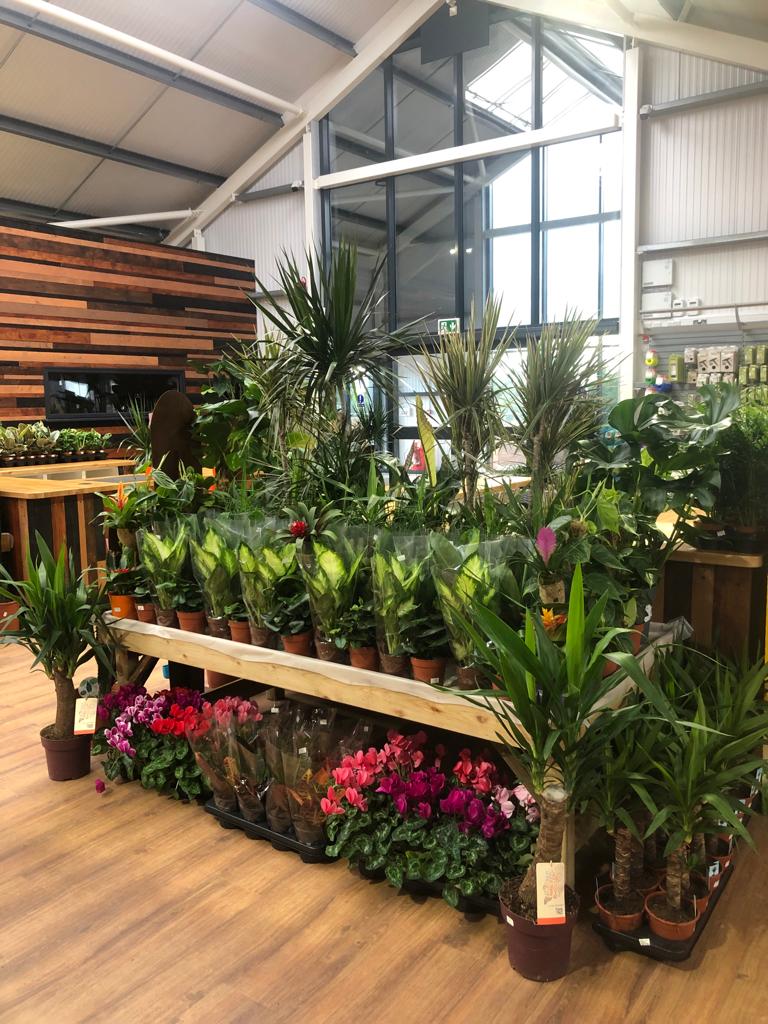 The Old Well Garden Centre