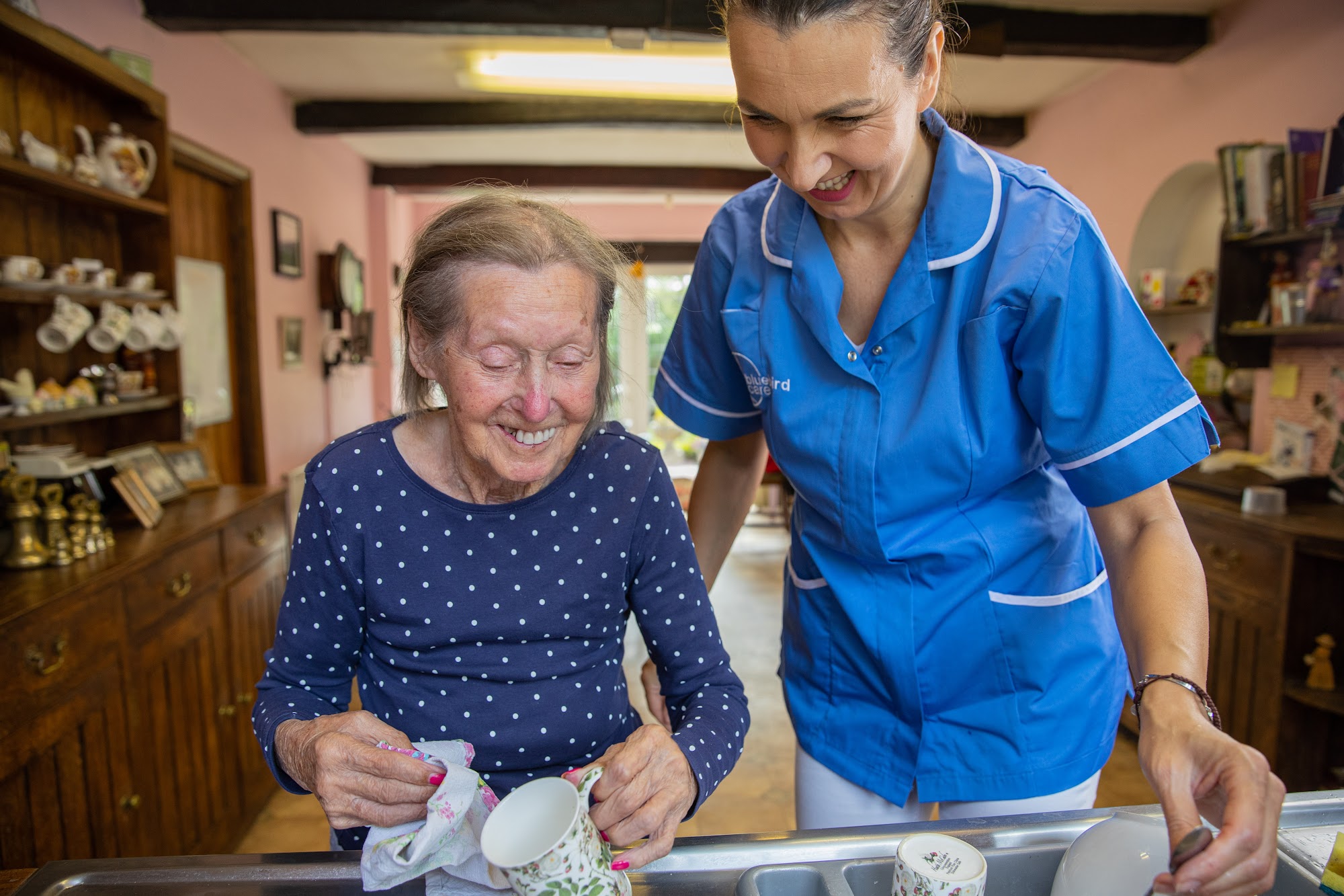 Bluebird Care Exeter