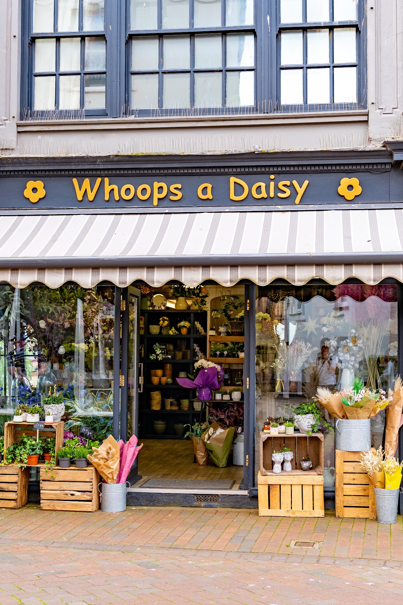 Whoops A Daisy