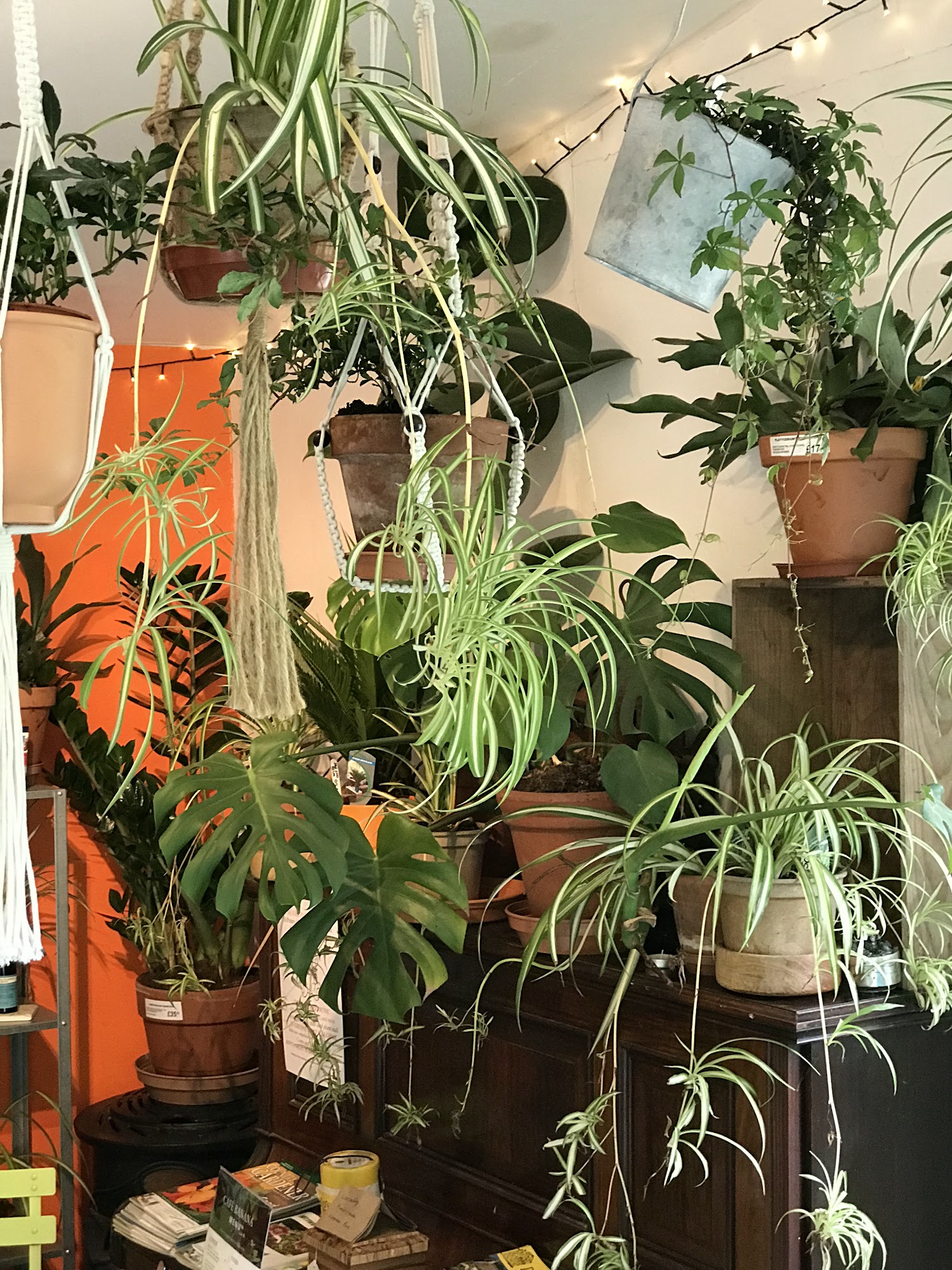 Withleigh Nurseries