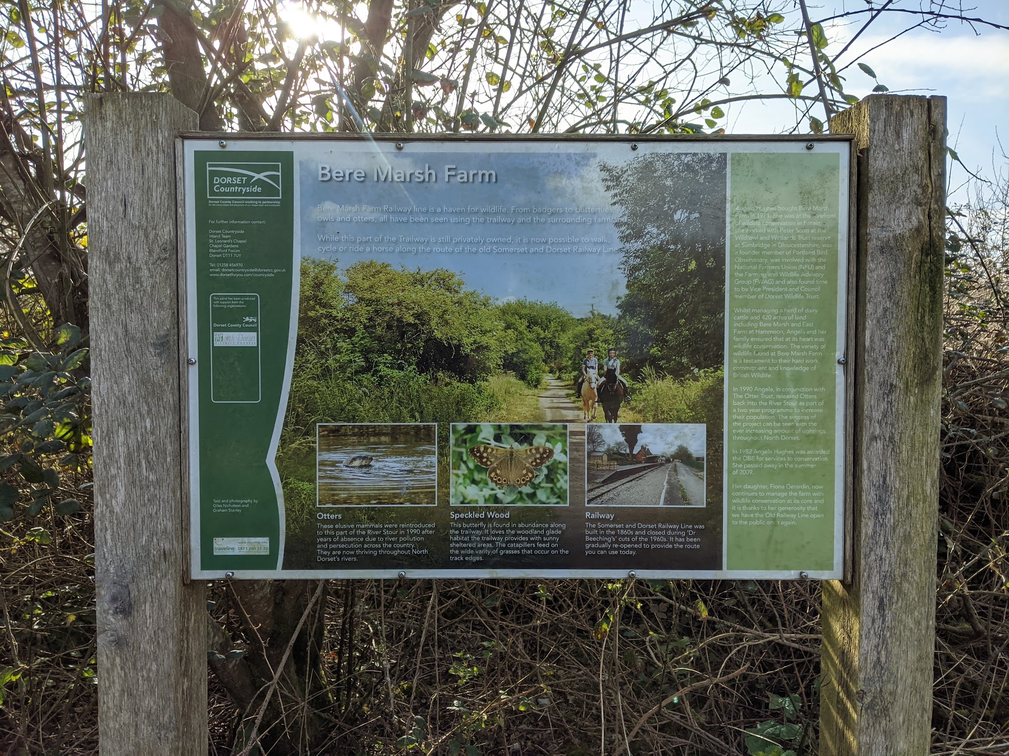 Bere Marsh Farm