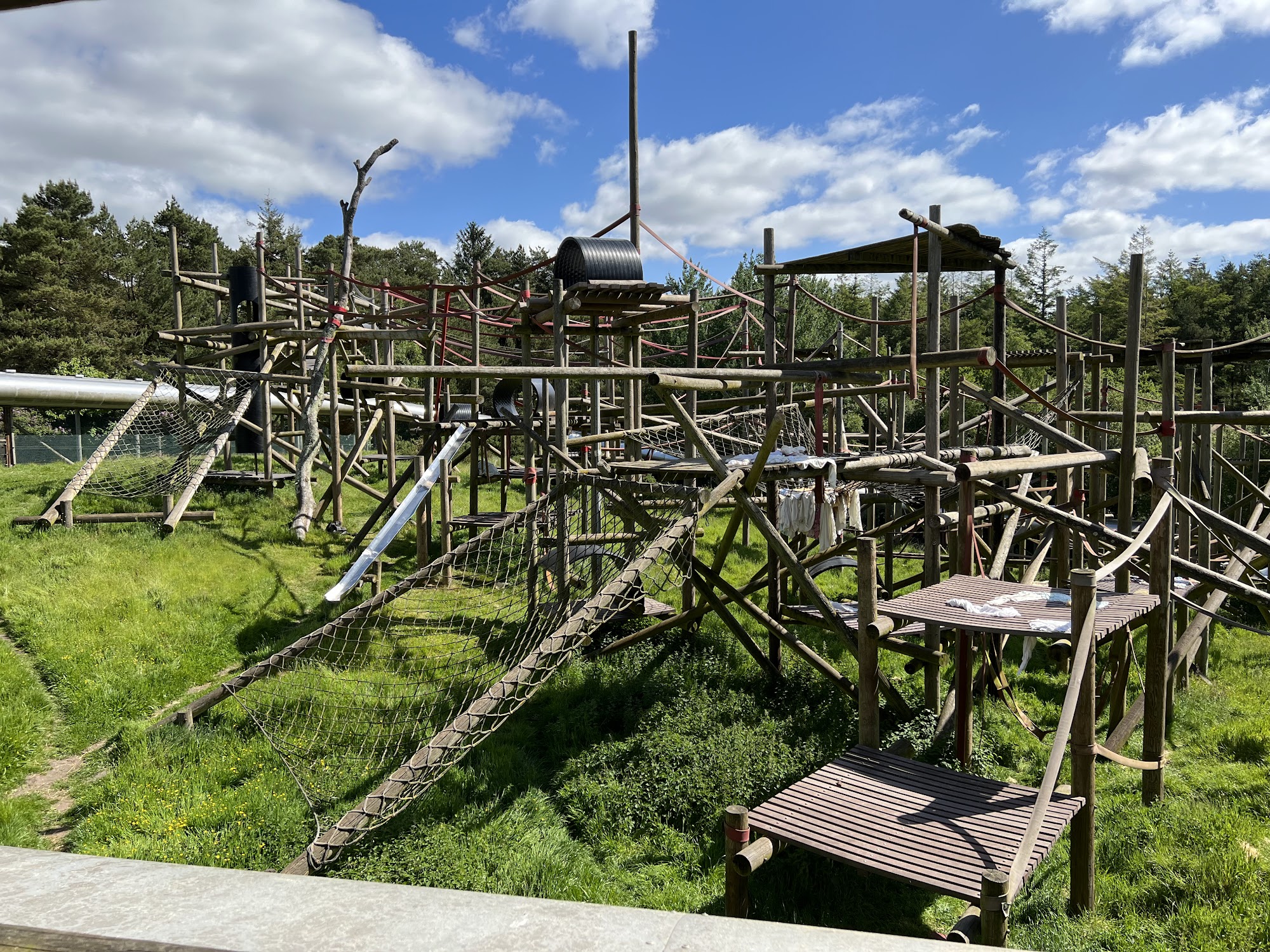 Monkey World - Ape Rescue Centre Wareham