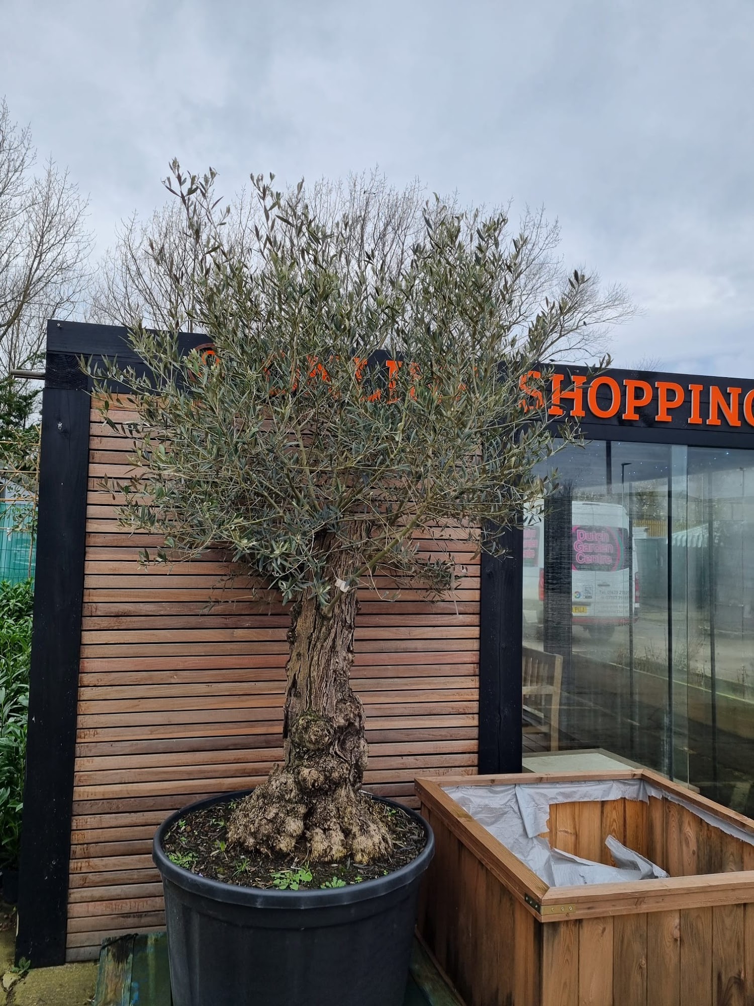 Dutch Garden Centre (Hartlepool) Limited
