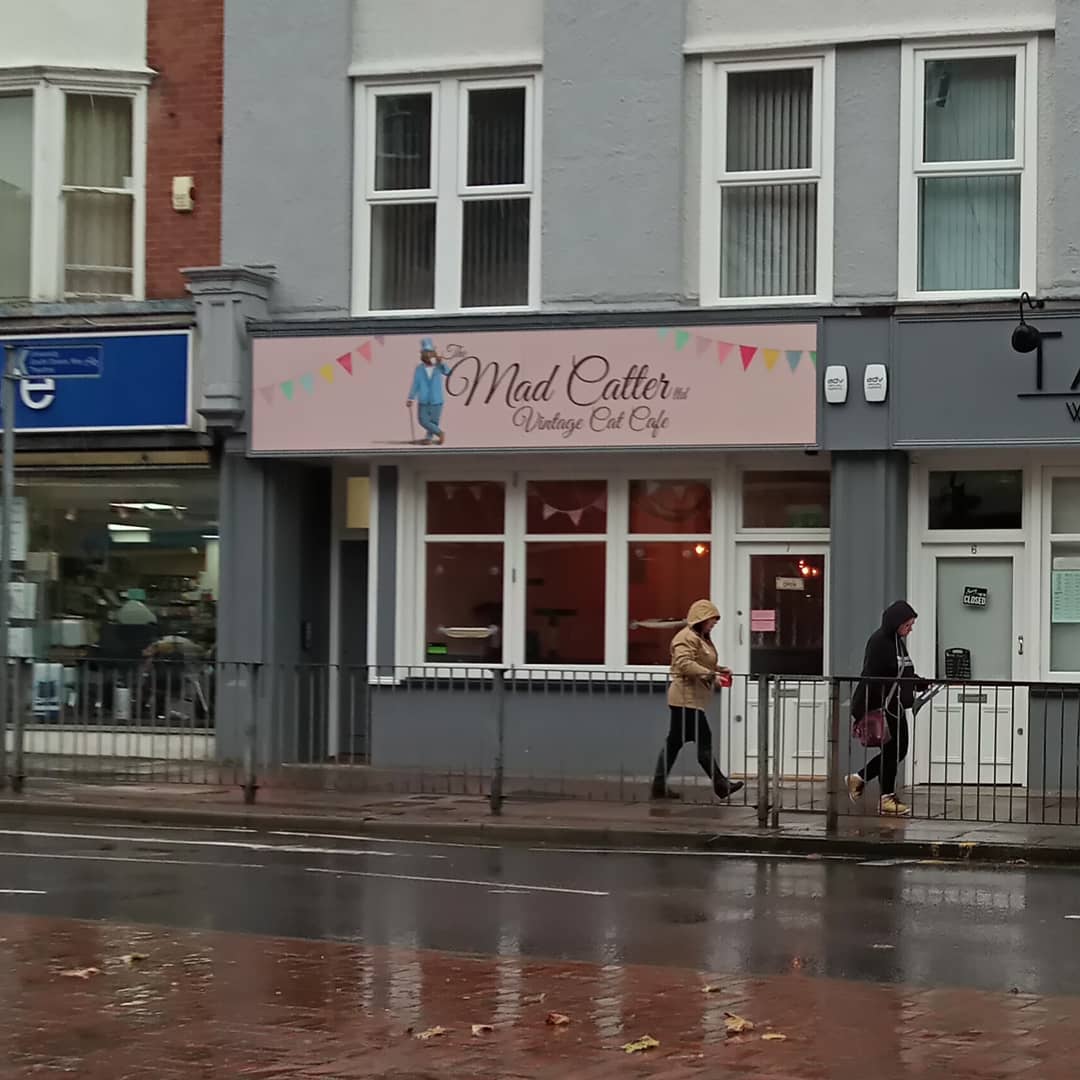 The Mad Catter Cat Cafe 7 Station Parade, Eastbourne