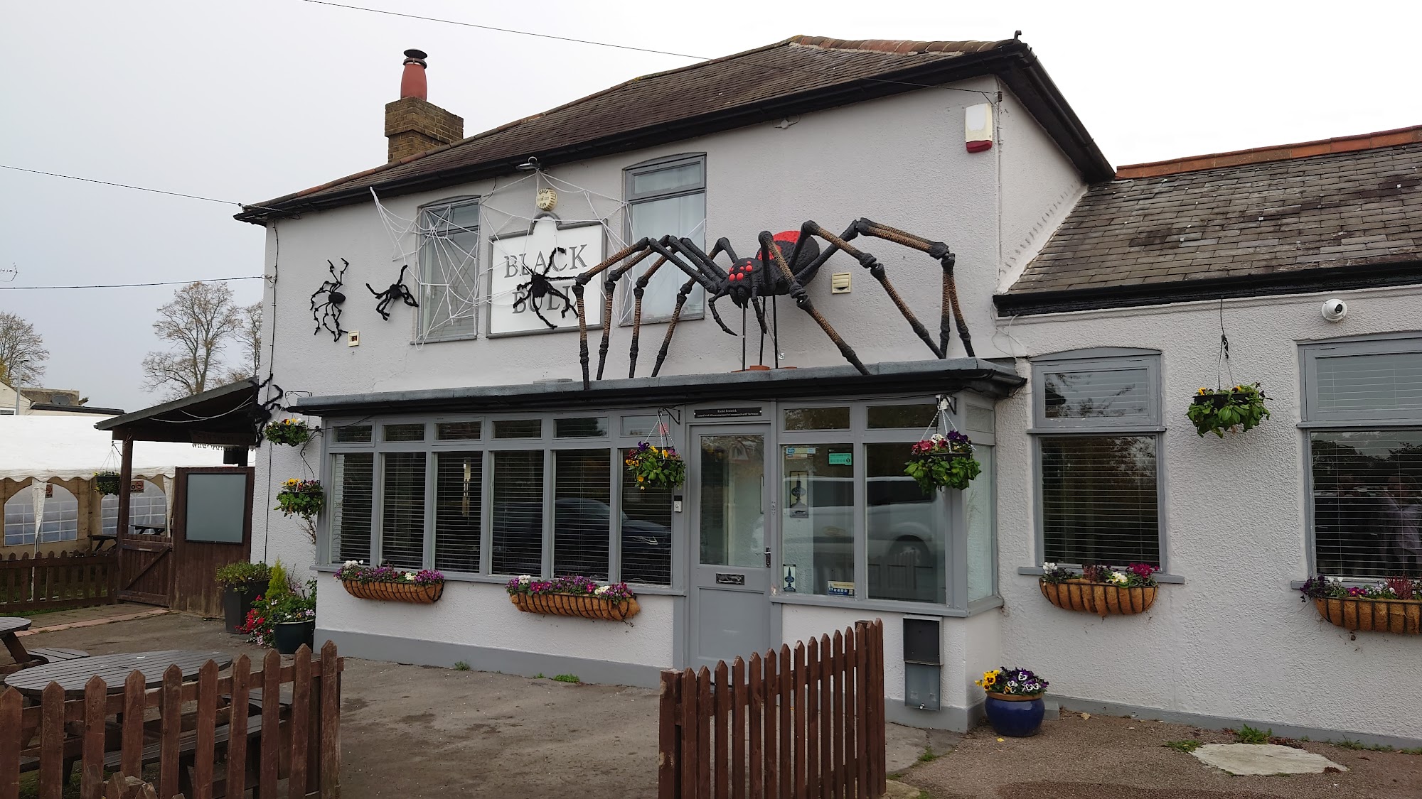 The Black Bull 244 Rainsford Rd, Chelmsford