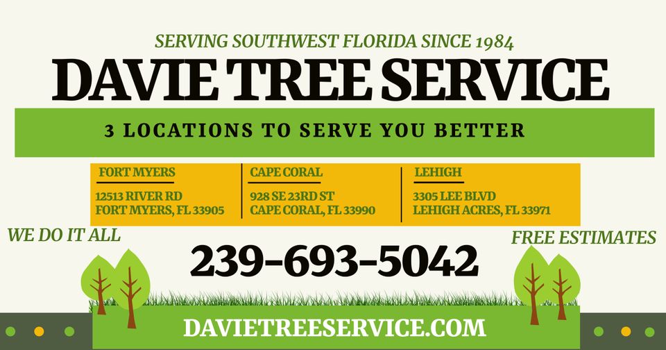 Davie Tree Service 12513 River Road, Fort Myers Florida 33905
