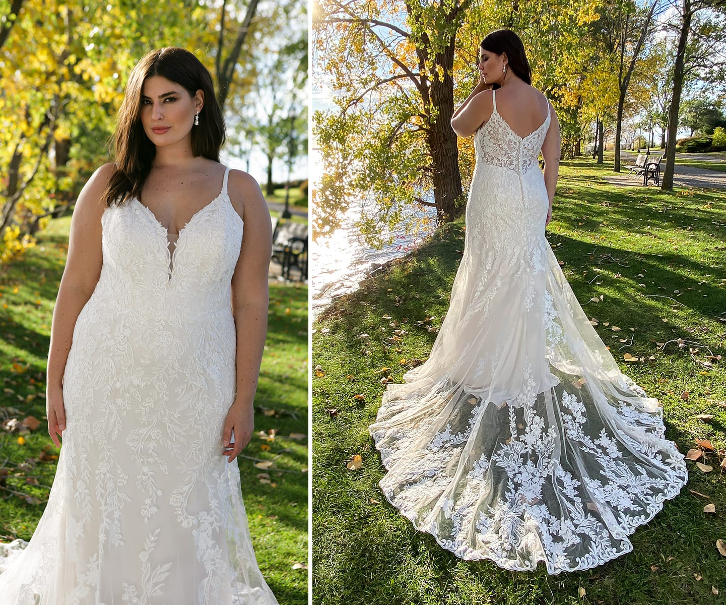 Curve Bridal Collection