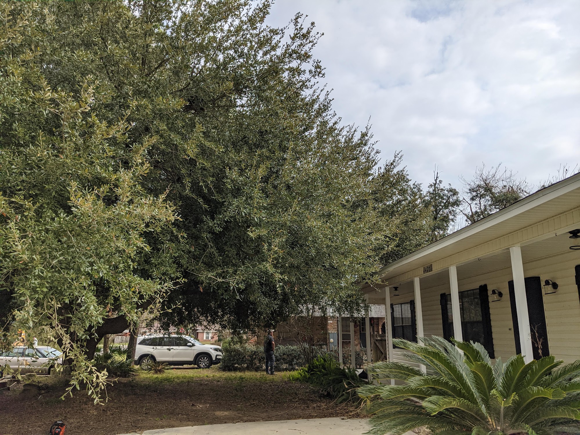 Payneless Tree Removal LLC 5227 FL-4, Baker Florida 32531