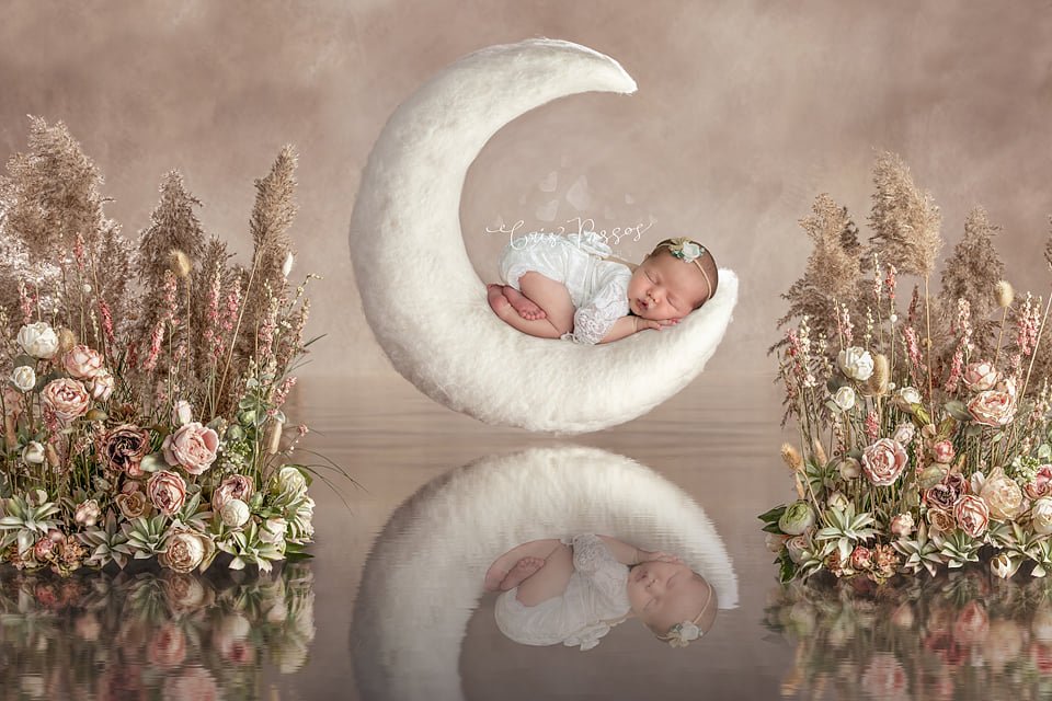 Photo credit: 