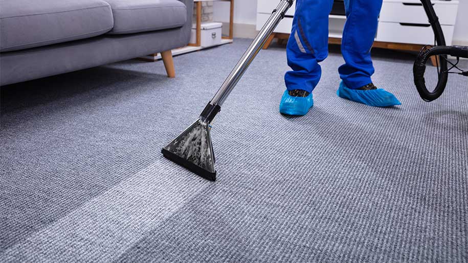 A+ Greenwise Carpet Cleaning Service
