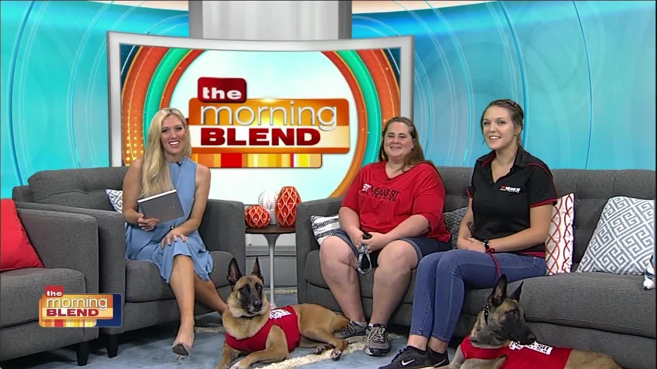 Sit Means Sit Dog Training Bonita Springs