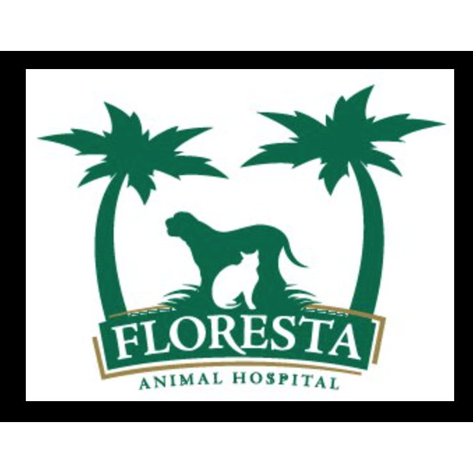 Dr. Jean Burns - Floresta Animal Hospital Boynton Beach