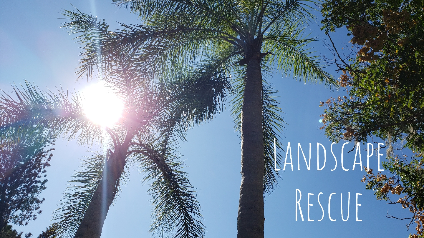 Landscape Rescue & Lawn Maintenance LLC
