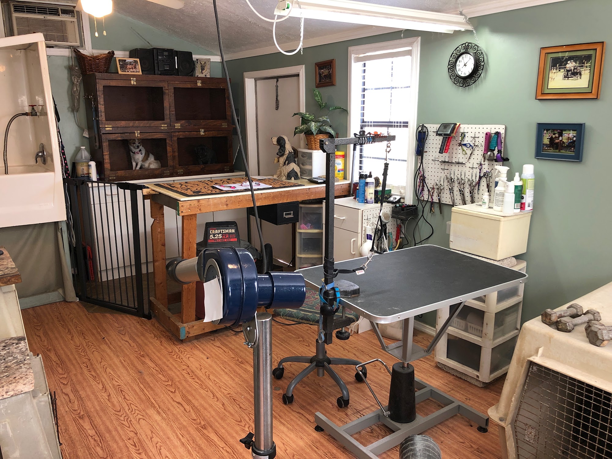 Duffy's Grooming Brandon