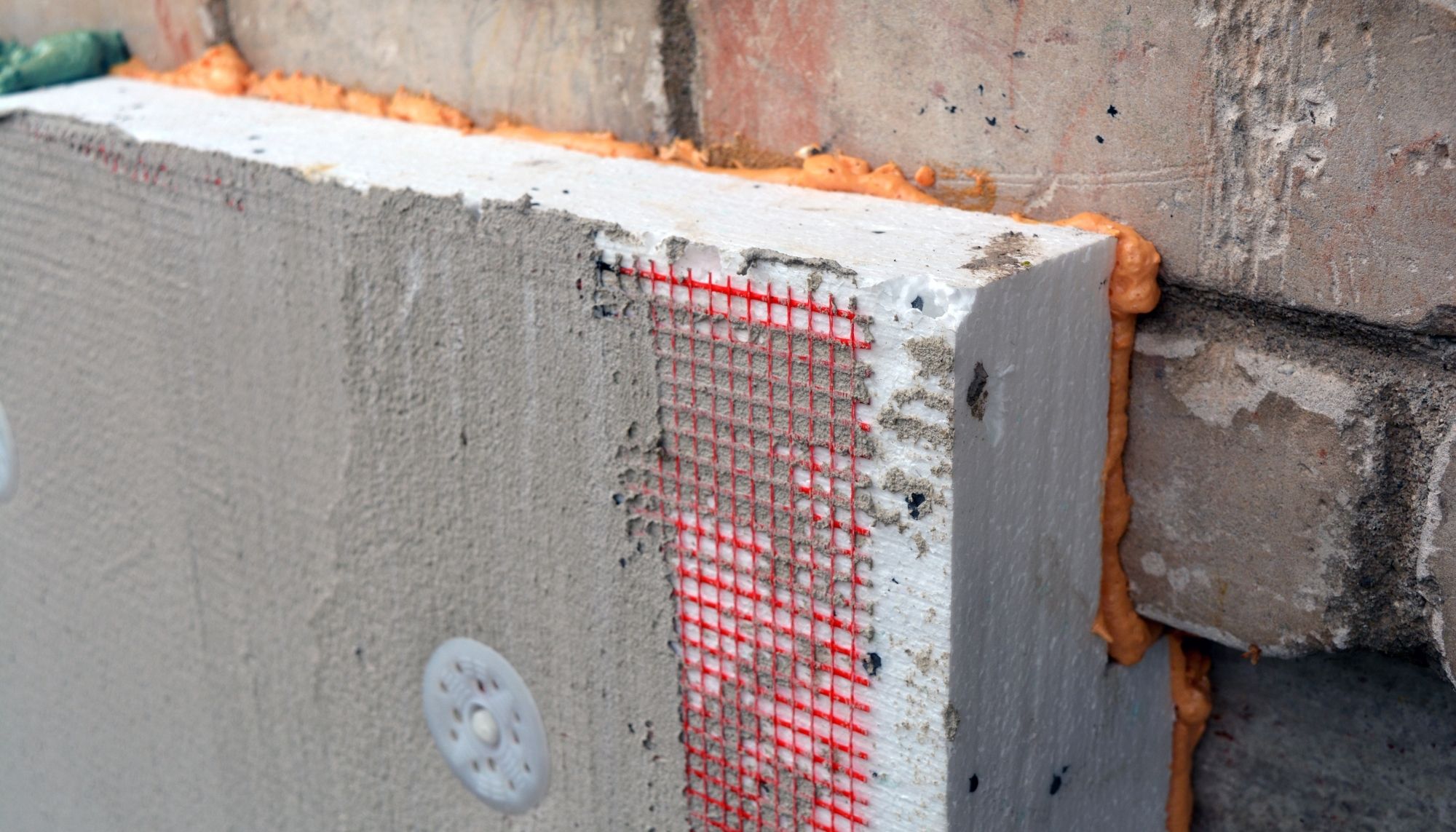 Waterfront Mold Experts