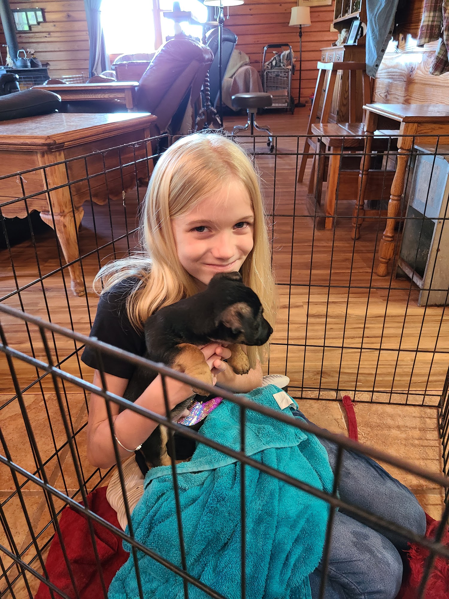 butterball farm hunt terrier Citra