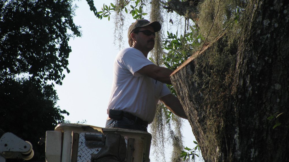 Jacobs Tree Service And Stump Removal 144 Palmer Sawmill Rd, Crescent City Florida 32112
