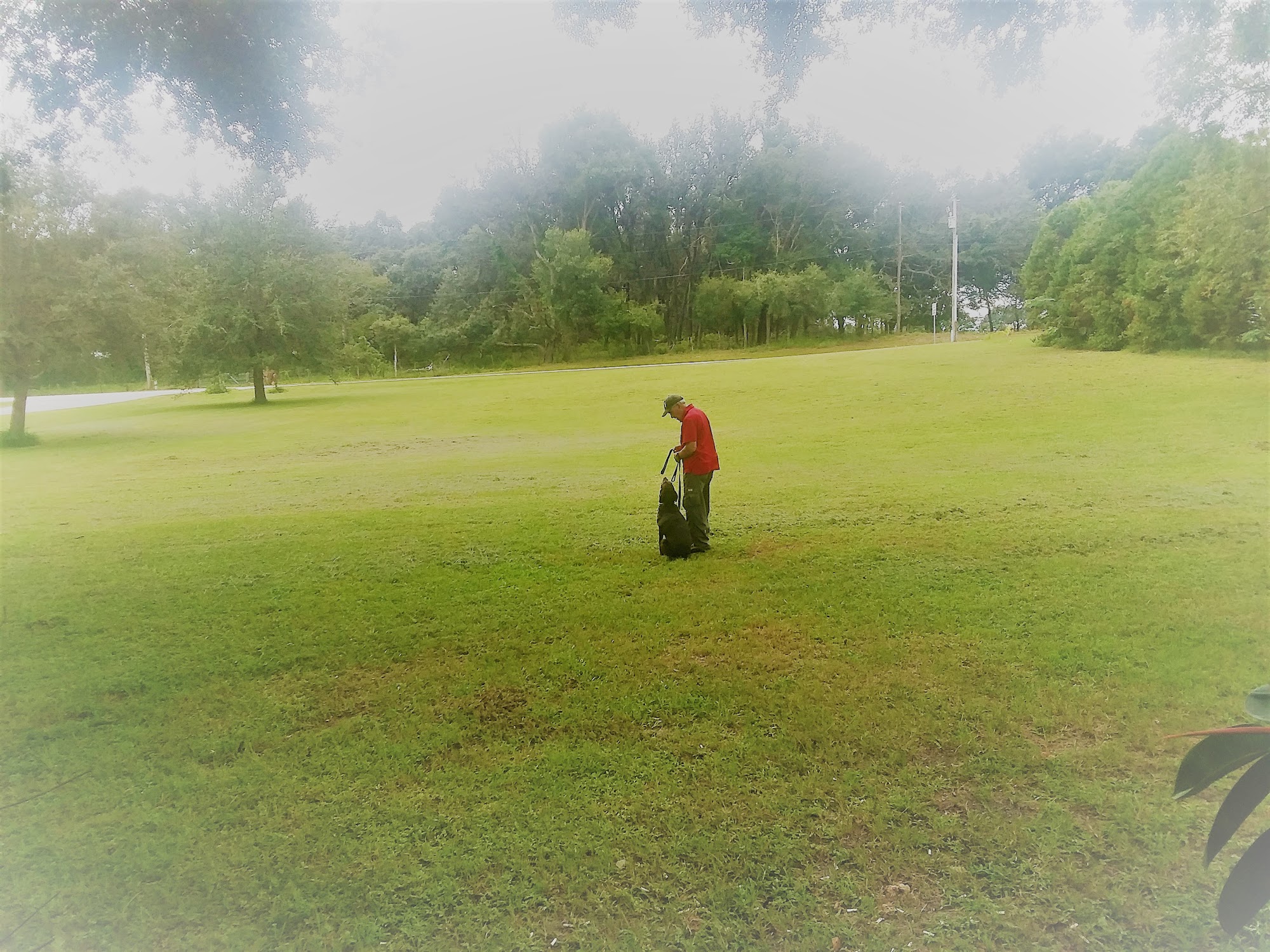 K9 Counselor Deland