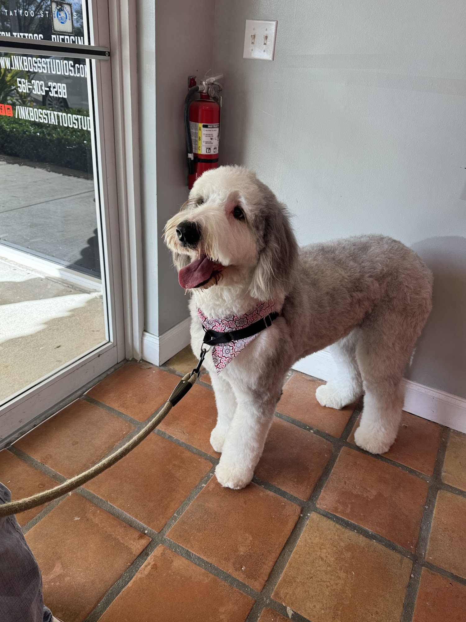 Lovely Paws Pet Grooming Salon, LLC Delray Beach