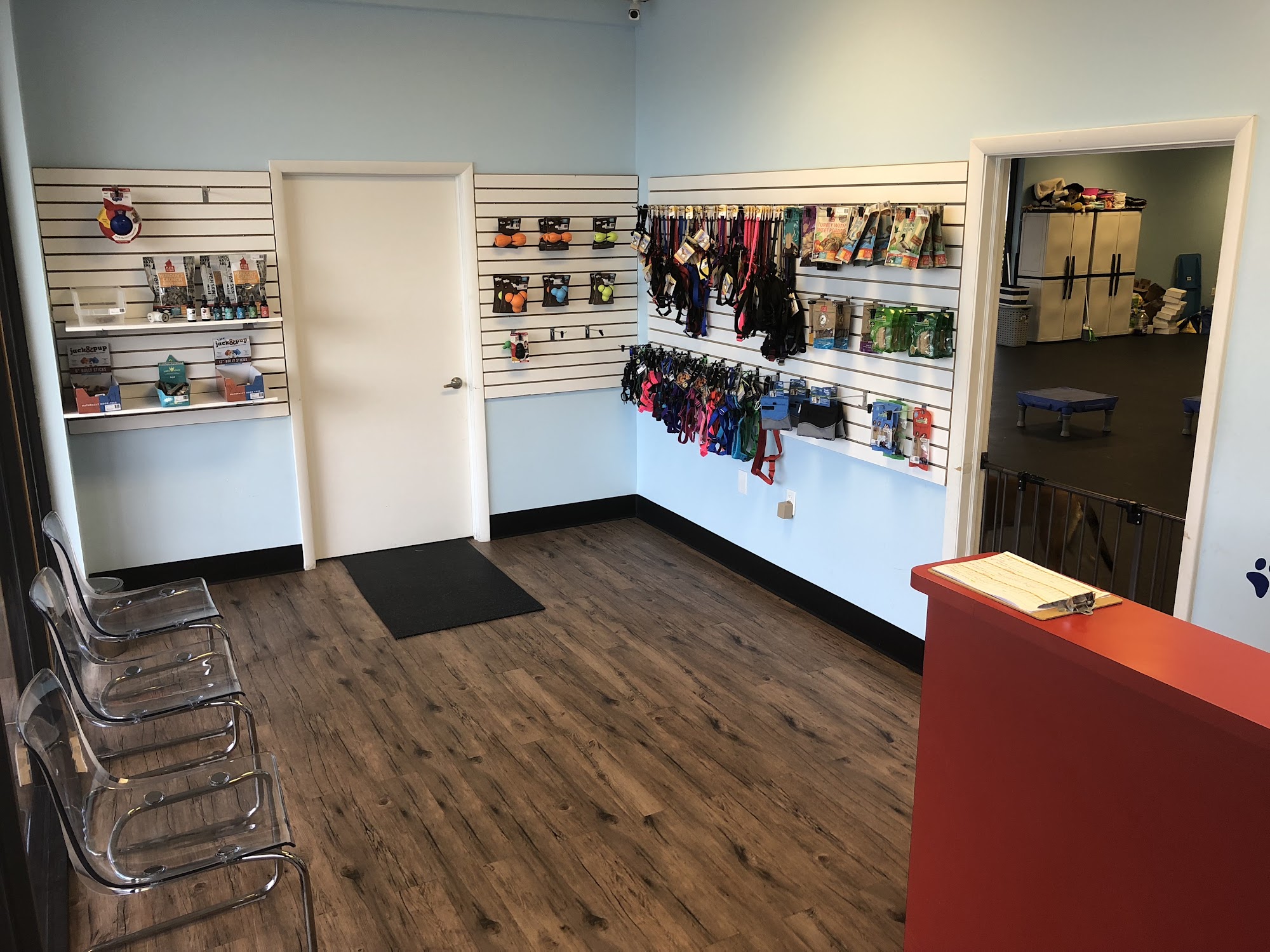 Dynamite Dog Training Delray Beach